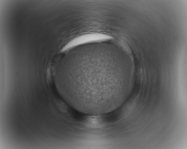 X0000089690088200707051633