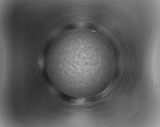 X0000089690090200707051633