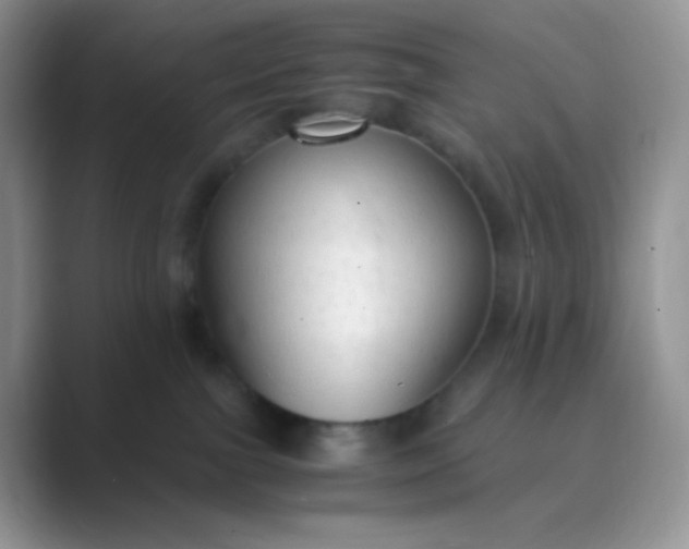 X0000089690091200707051633