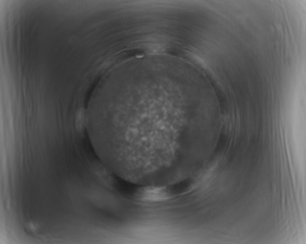 X0000089690093200707051633