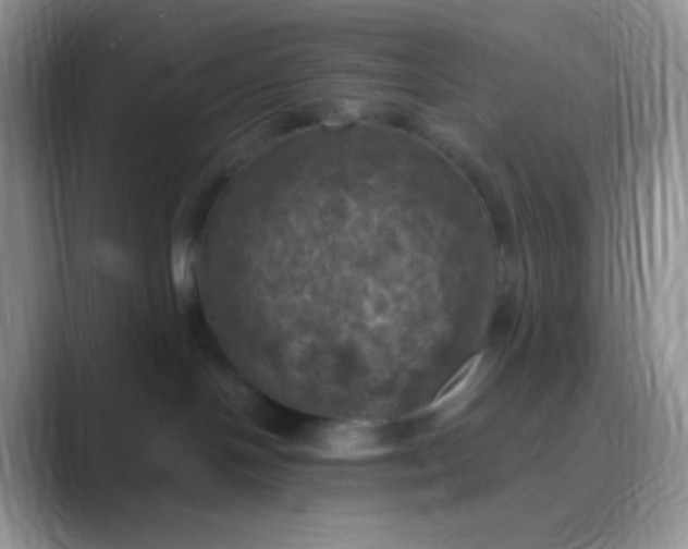 X0000089690094200707051633