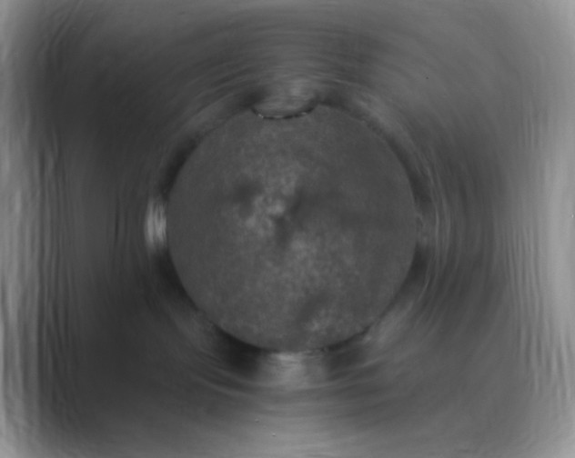 X0000089690095200707051633