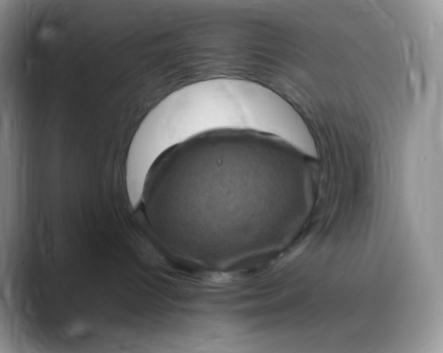 X0000089690096200707051633