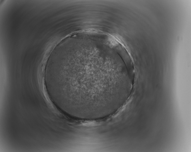 X0000089690097200707051633