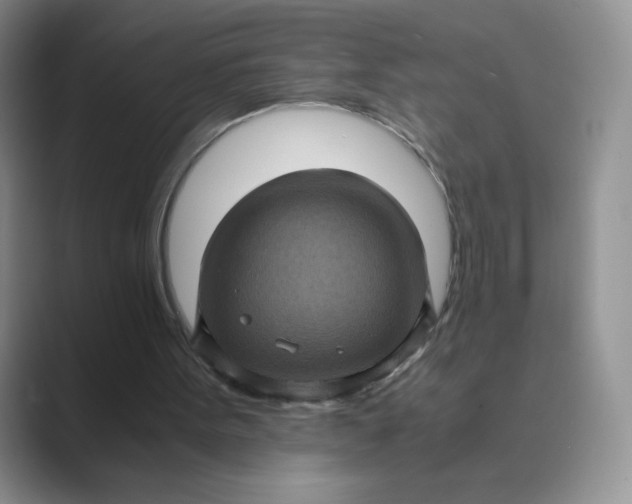 X0000089690099200707051633