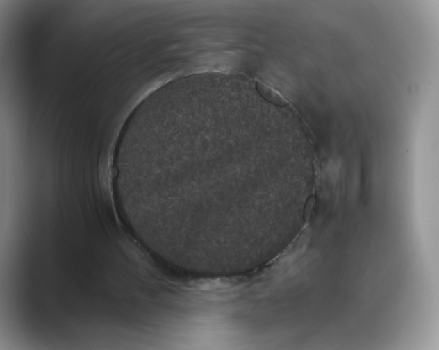 X0000089690100200707051633