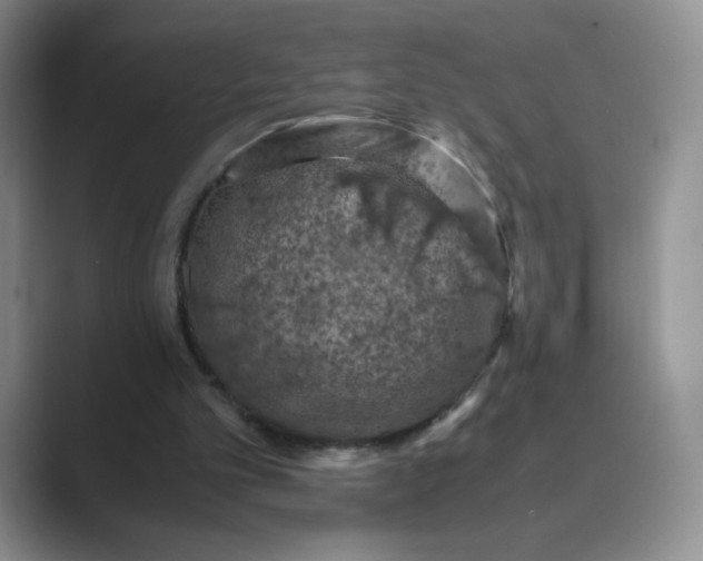 X0000089690101200707051633