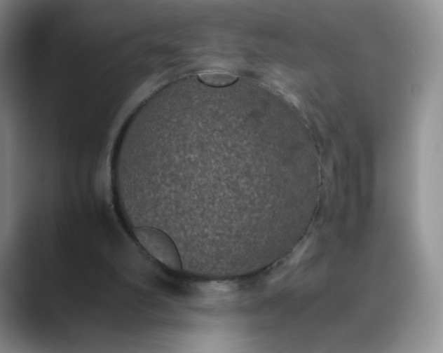 X0000089690102200707051632