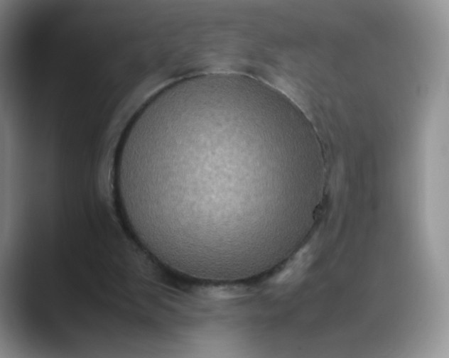 X0000089690103200707051632