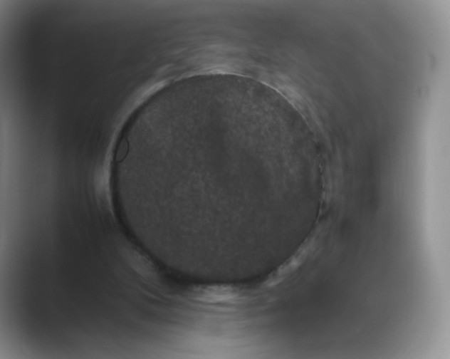 X0000089690104200707051632