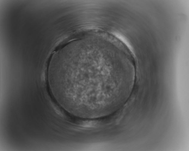 X0000089690105200707051632