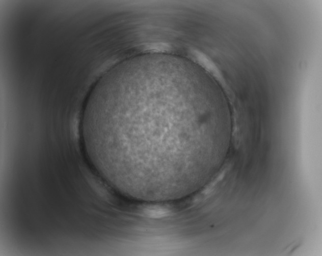 X0000089690106200707051632