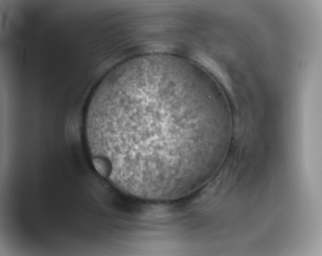 X0000089690107200707051632