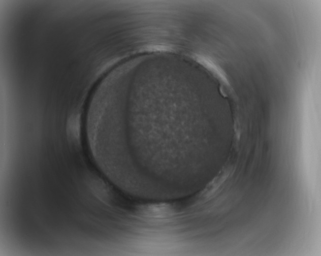 X0000089690108200707051632