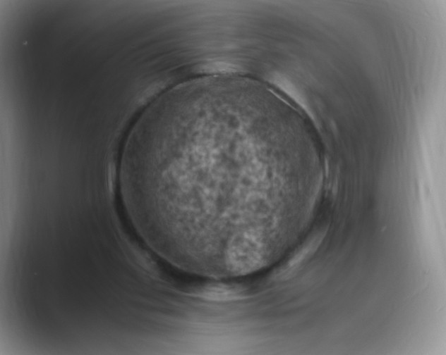 X0000089690109200707051632