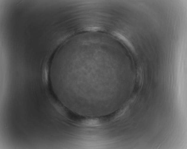 X0000089690110200707051632