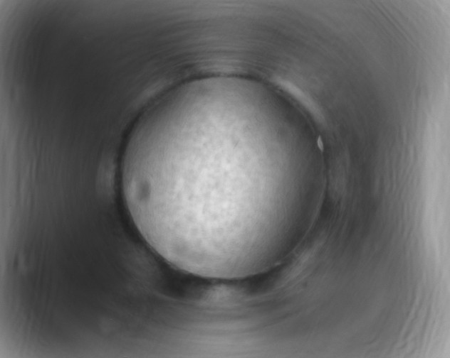 X0000089690111200707051632