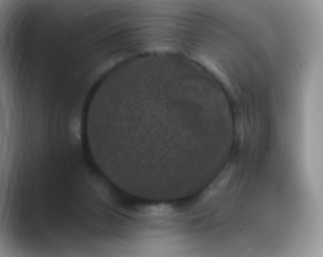 X0000089690112200707051632