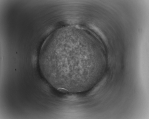 X0000089690113200707051632