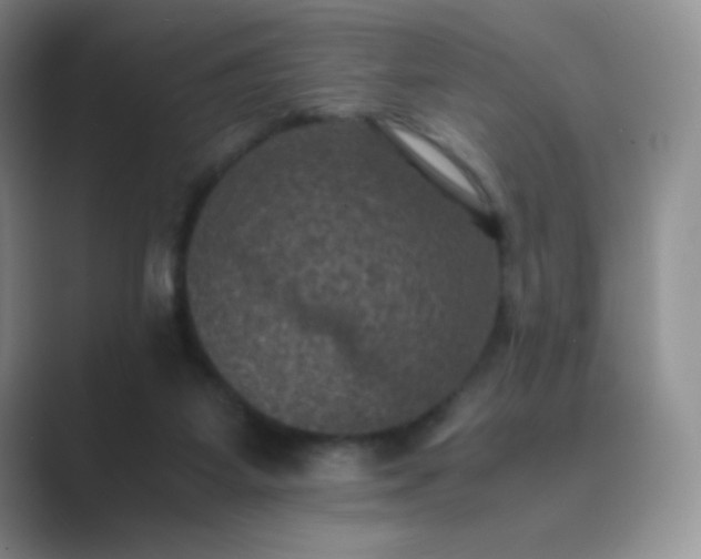 X0000089690115200707051632