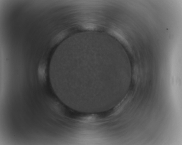 X0000089690116200707051632