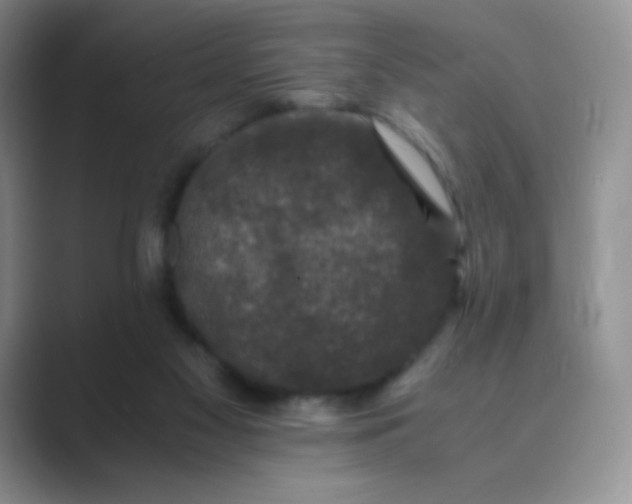 X0000089690117200707051632