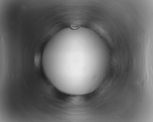 X0000089690118200707051632