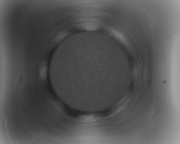 X0000089690120200707051632