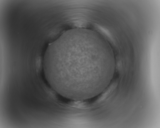 X0000089690121200707051632