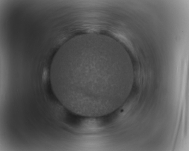 X0000089690123200707051632