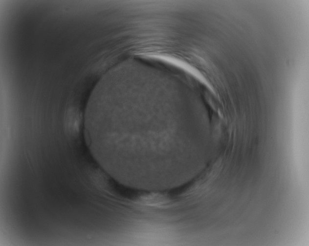 X0000089690125200707051632