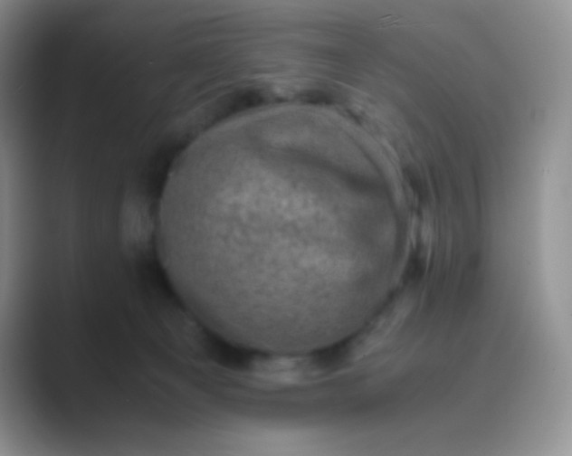 X0000089690129200707051632