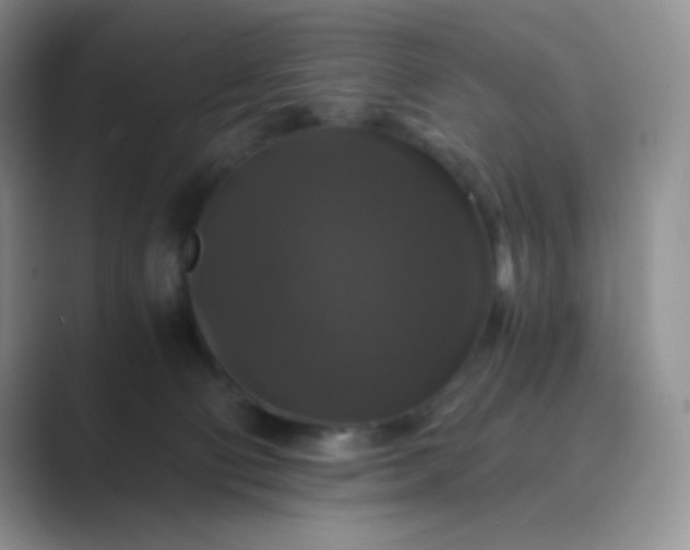 X0000089690130200707051632