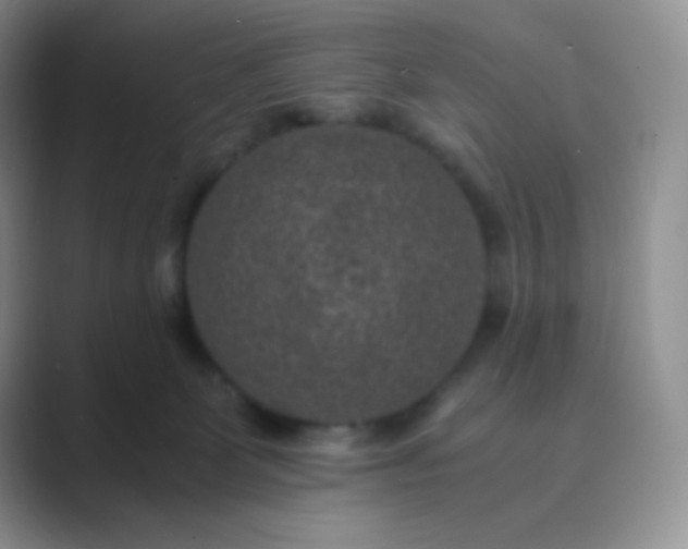 X0000089690131200707051632