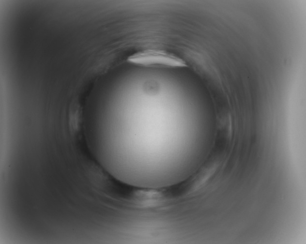 X0000089690133200707051632