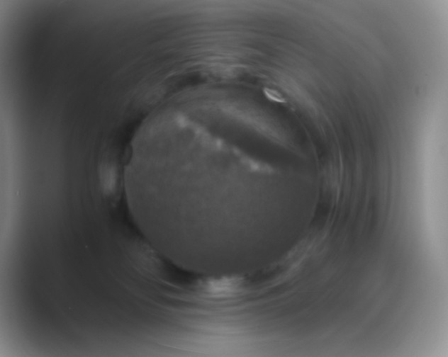 X0000089690134200707051632