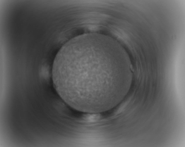 X0000089690135200707051632