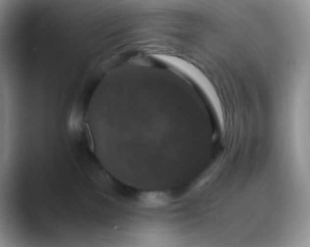 X0000089690137200707051632