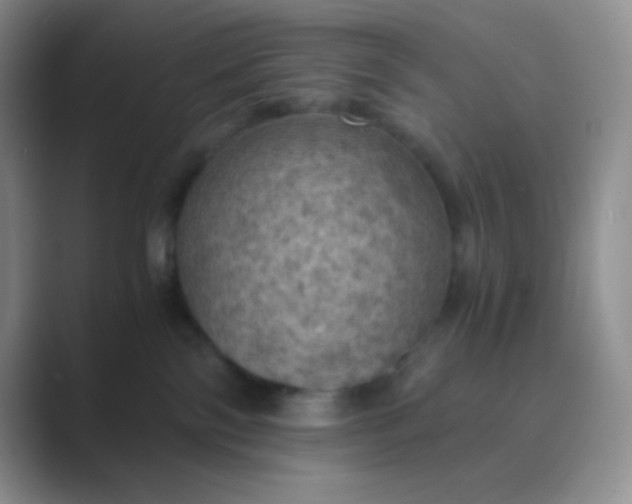 X0000089690138200707051632