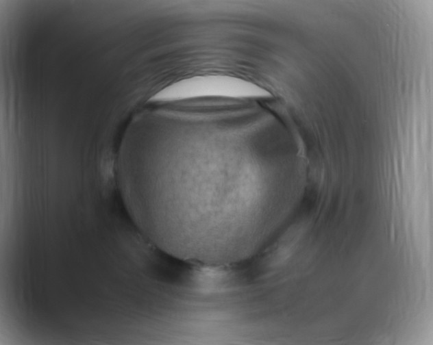 X0000089690141200707051632