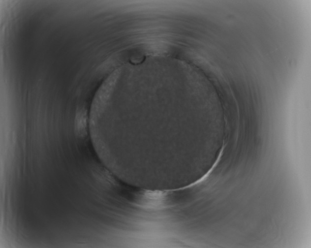 X0000089690144200707051632