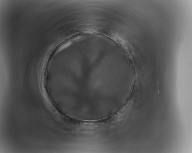 X0000089690145200707051631