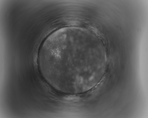 X0000089690146200707051631