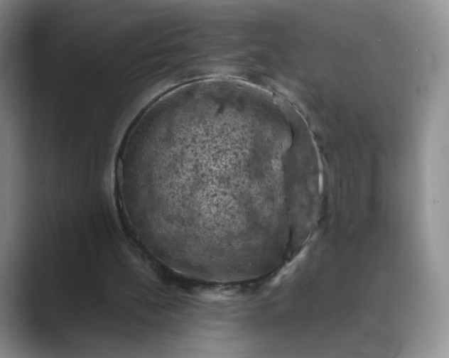 X0000089690148200707051631