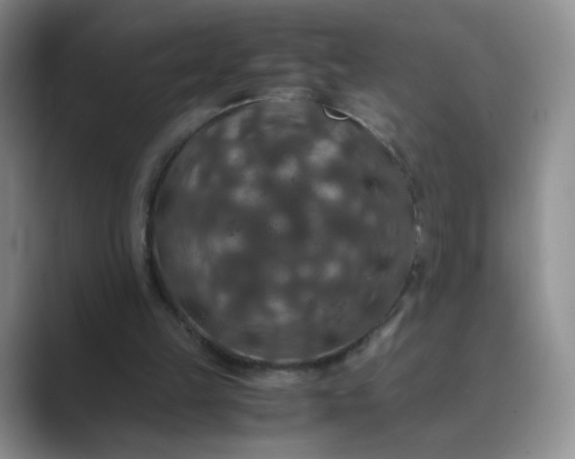 X0000089690149200707051631