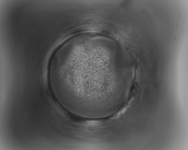 X0000089690150200707051631