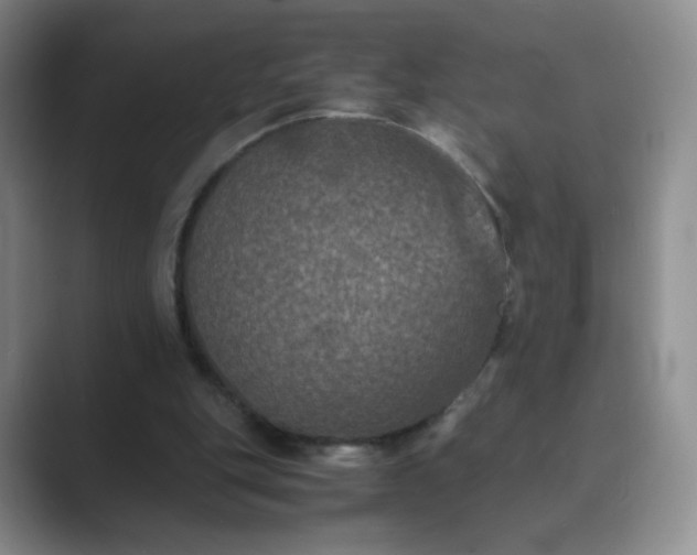 X0000089690151200707051631