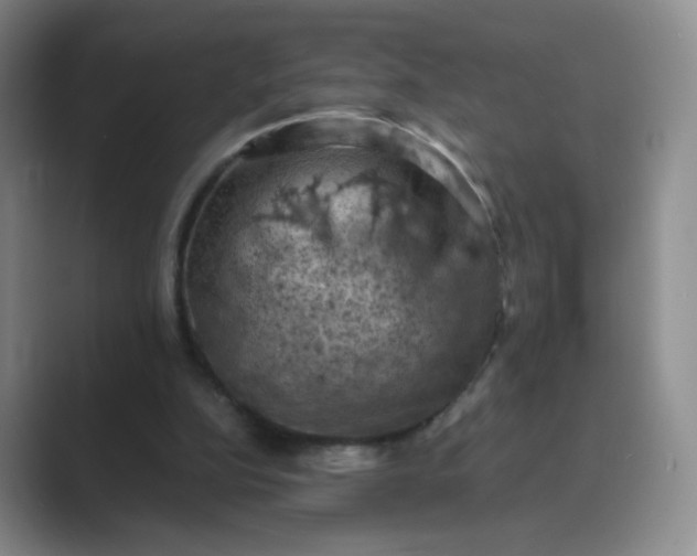 X0000089690152200707051631