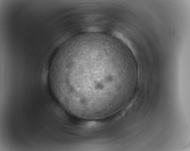 X0000089690153200707051631