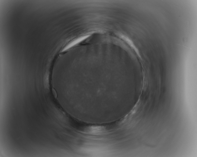 X0000089690154200707051631